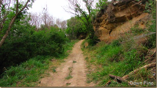 laredo texas scenery laredo texas scenery